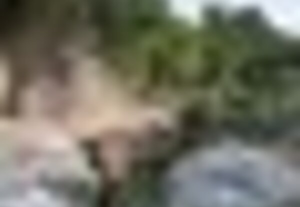 tiny_thumb_lista