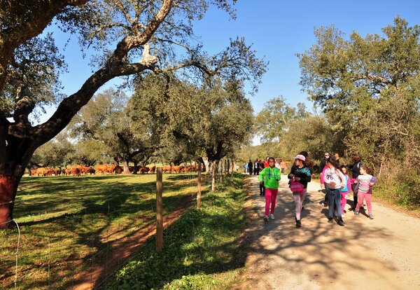 02_27_foto_ciclo_de_caminhadas_2018_iniciou_se_em_assumar__159_