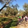 thumb_02_27_foto_ciclo_de_caminhadas_2018_iniciou_se_em_assumar__159_