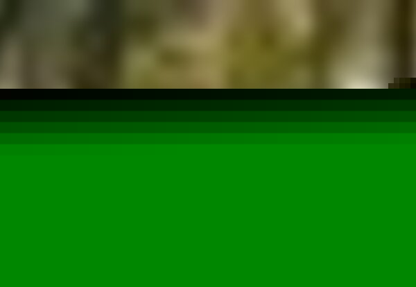 tiny_thumb_zona_ribeirinha_5