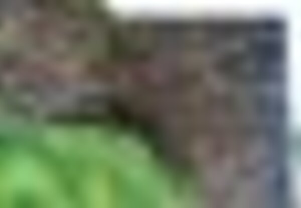 tiny_thumb_imagem_listas