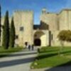 thumb_mosteiro_de_santa_maria_de_flor_da_rosa