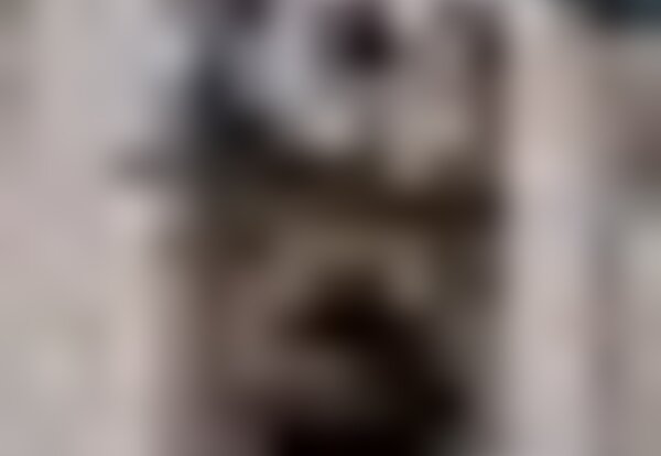 tiny_thumb_listas