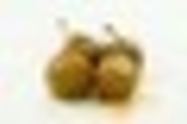 tiny_thumb_sericicaia_e_ameixas_de_elvas__7_