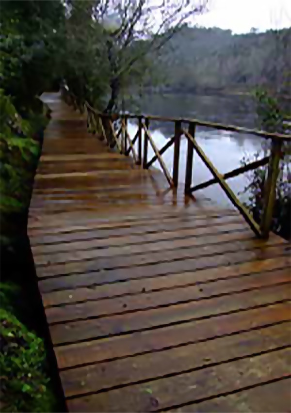 Alamal's Fluvial Beach